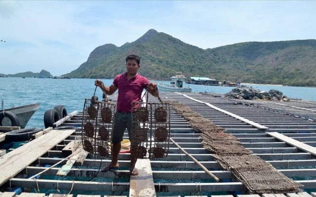 pearl farm in Phu Quoc