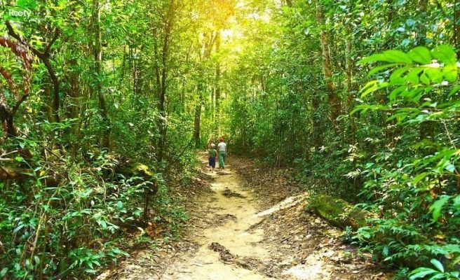 Phu Quoc National Park is for adventure lovers.