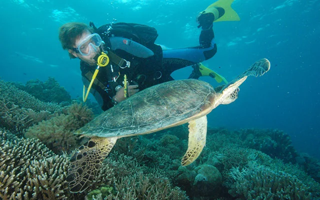 Scuba Diving in Phu Quoc