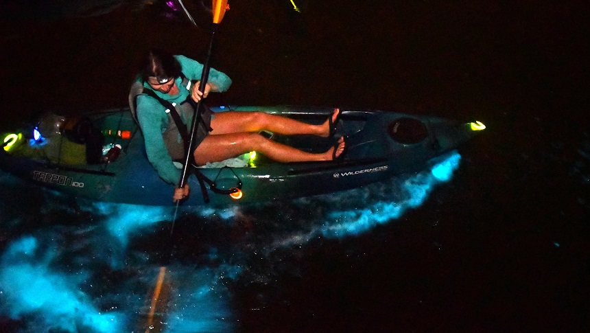 Night Kayaking Tour with Plankton Bioluminescence