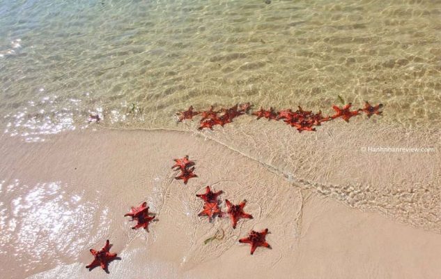 The beauty of Starfish Beach.