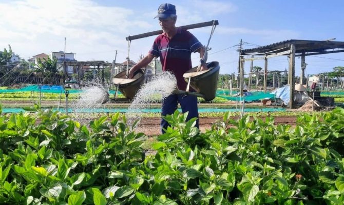 Traditional farming methods are preserved by the people here.