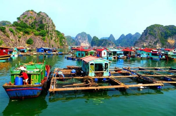 Cua Van Fishing Village