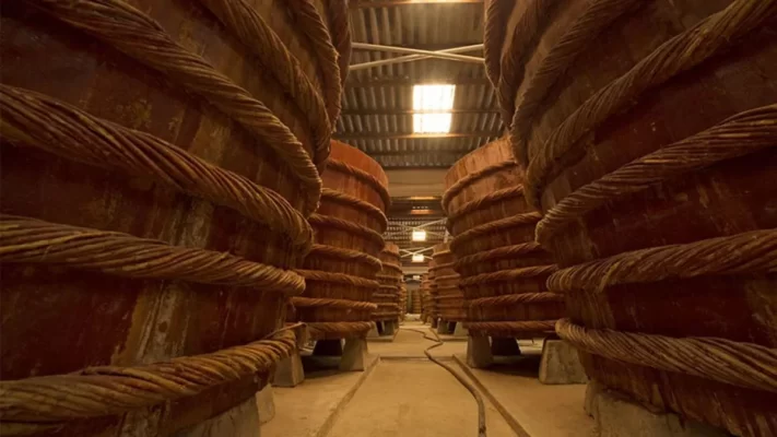 Fish sauce factory in Phu Quoc.