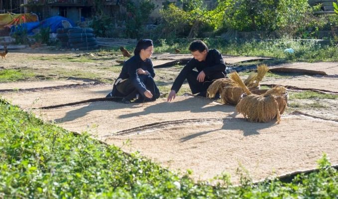 People in Khuoi Ky stone village are drying rice.