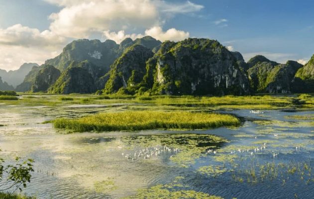 Van Long Nature Reserve is preserved intact with natural beauty.