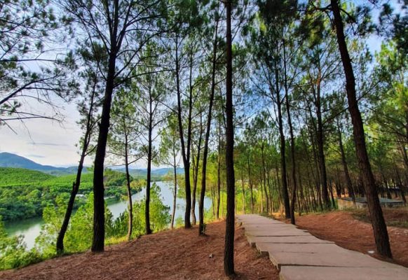 Vong Canh Hill with fresh natural air.